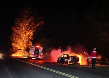 Un auto se incendió por completo mientras circulaba por la ruta 5