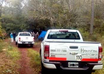 Detectan graves irregularidades laborales en campos de secado de té y yerba mate en Misiones