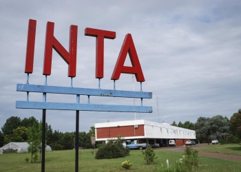 Respiro en el Congreso, pero el Gobierno puso en disponibilidad a más de 270 trabajadores del INTA