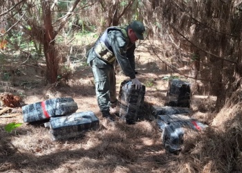 Puerto Esperanza: Gendarmería halló más de 500 kilos de droga