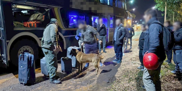 DETECTOR. El can “León”, marcó la presencia de estupefacientes.
