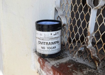 Seis municipios ya integran la  red de vigilancia entomológica