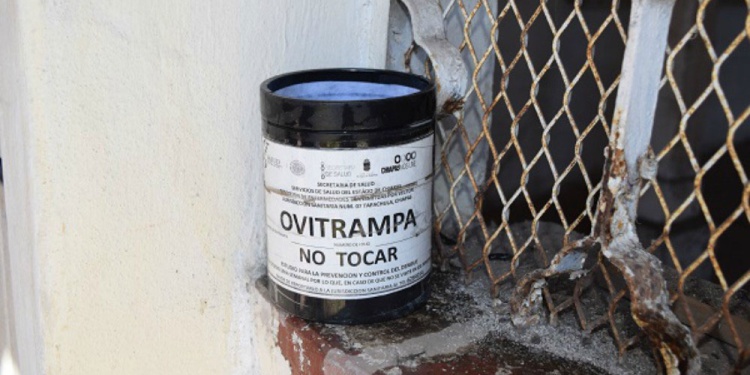 SENSORES. Las ovitrampas se ubican en los peridomicilios y dentro de las viviendas seleccionadas de cada barrio.