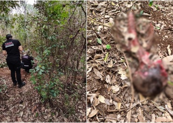 Los restos humanos encontrados en Bernardo de Irigoyen serían de un brasileño desaparecido