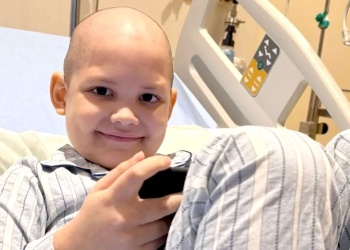 Yerba mate: el pago al productor por la hoja verde cayó a su nivel más bajo en años