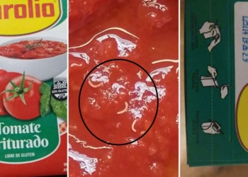 Qué son los gusanos microstomum sp., detectados en una conocida marca de tomates triturados