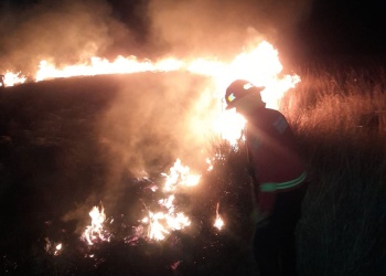 Incendio afectó unas 12 hectáreas de la Reserva Urutaú en Candelaria