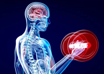 Impacto de la actividad física en el cerebro