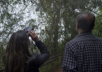 Volar 2025 cerró en el Parque Nacional Iguazú con un avistaje de vencejos de cascada