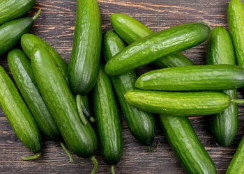 Técnicas y datos a saber para cultivar pepino en macetas