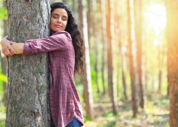 El árbol que nos nutre