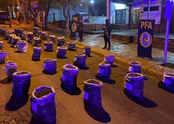 La Policía Federal secuestró más de 855 kilos de marihuana en Eldorado