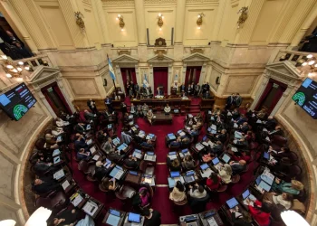 El Senado aprobó un proyecto que pone límites al Presidente en el uso de los DNU
