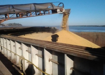 Cayó más del 31% la recaudación por derechos de las exportaciones