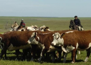 En Misiones, agricultura y ganadería pierden casi 10% del empleo registrado en diez años