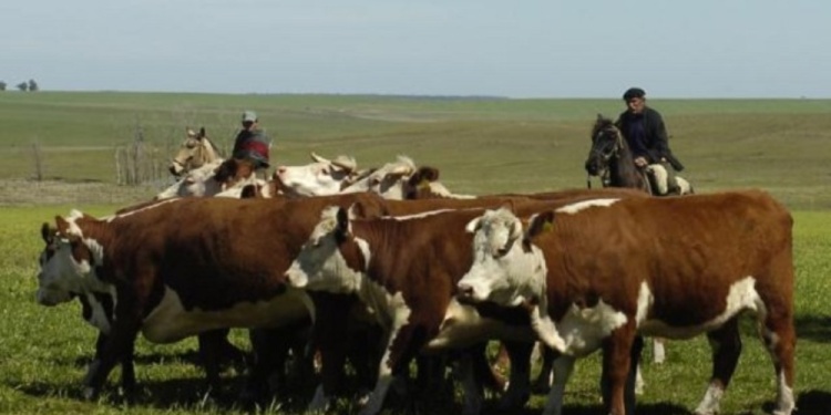 SIN RENTABILIDAD. La caída de la actividad agropecuaria se enmarca en la mecanización y la falta de apoyo estatal.