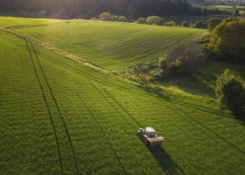 Efecto motosierra: un agro más concentrado, vulnerable y con menor  presencia del Estado nacional