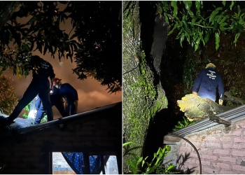 Temporal en Apóstoles: fuerte viento derribó un árbol y dañó una casa