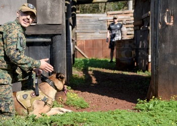 Cartucho y Vaina: los perros entrenados para salvar vidas y resolver conflictos