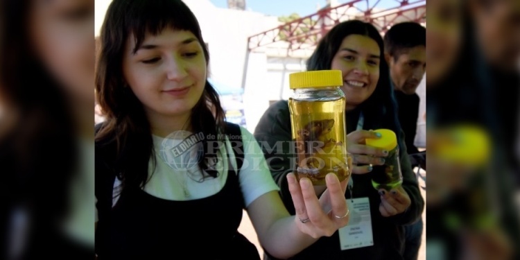 APRENDIZAJE. “Prohibido no tocar”rezaba uno de los stands.