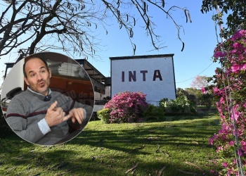 Trabajan para capturar carbono y, de paso, reducir los gases de efecto invernadero