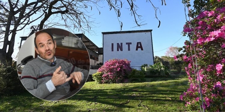 CON LOS NÚMEROS. Lysiak encara el proyecto en la sede que tiene en INTA en Cerro Azul.