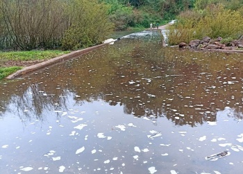 Cerraron el Parque Moconá: el agua del Yabotí cubrió el puente de ingreso
