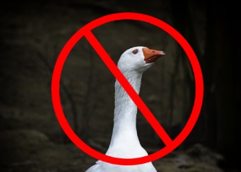 “Septiembre sin Fap”: el desafío viral que cada vez gana más seguidores