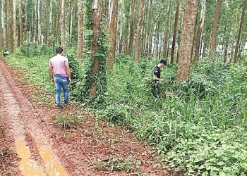 Cerca de ir a juicio patrón y capataz, acusados de matar a un empleado