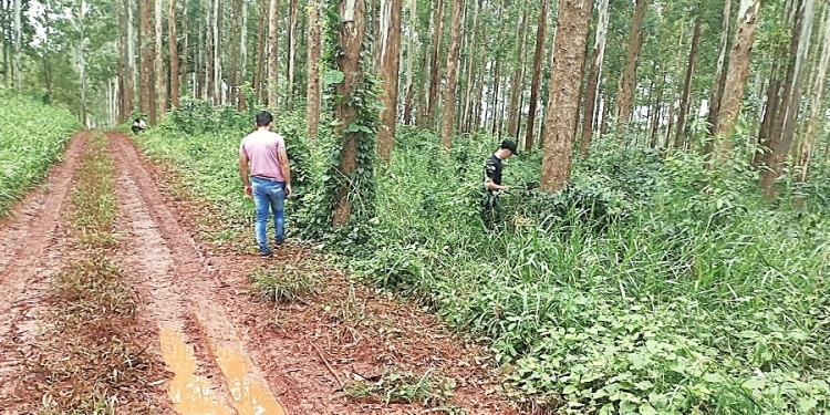 PERICIAS. La policía halló en los árboles perdigones que serían producto del disparo que efectuaron para asesinar a padre e hijo, aunque solo lograron matar a uno.