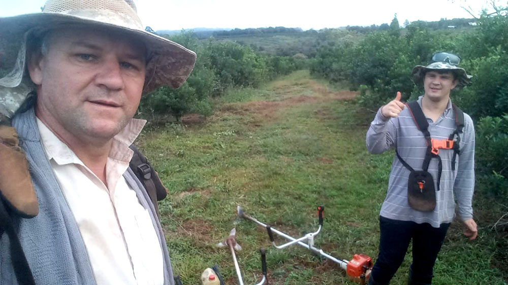 La desesperación de Alejandro Cuz y la herida abierta de la yerba mate desregulada