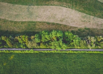 Ecosanación sensorial: del ser-ahí al florecer bioeconómico