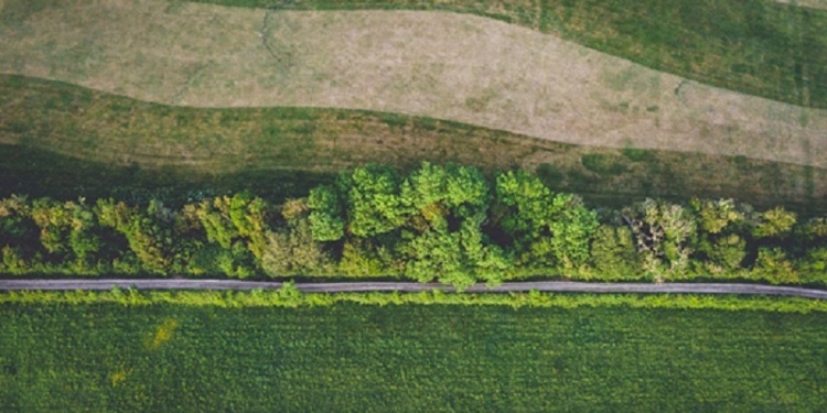 Paisaje Productivo Regenerativo