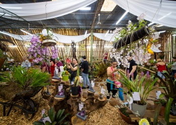 Presentaron la Fiesta Nacional de la Orquídea y la 41ª Fiesta Provincial de la Flor