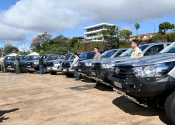 Los operativos contra el delito ambiental aumentaron un 55%