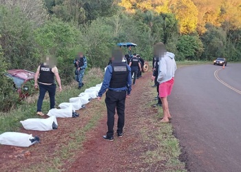 Incautan más de 330 kilos de marihuana en Alba Posse en una camioneta robada