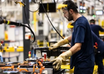 El empleo privado en Misiones creció en servicios y comercio, cayó en madera y obra