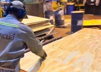 Corrientes apuesta a un empresario misionero para sostener los empleos en Tapebicuá