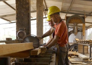 La forestoindustria no repunta y los “Ahora” sostienen a los muebleros
