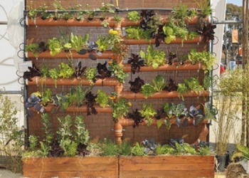 Cómo armar una huerta vertical en ocho pasos