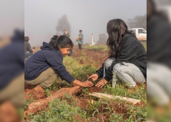“La plantación y capacitación  fortalecen la resiliencia climática”