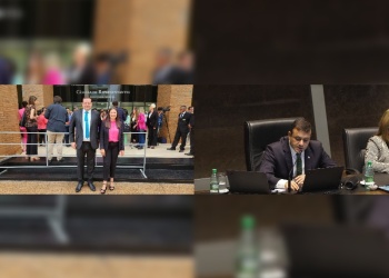 Cruce entre Herrera Ahuad y el PAyS por el proyecto que busca regular acopio y precios de la yerba mate