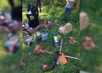 Entre yerbales y té: hallaron escondido el botín robado a una jubilada en Campo Ramón