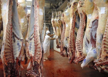 El Gobierno también eliminará las retenciones para la carne avícola y bovina