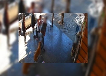 Video: un hombre intentó robarse un perro en posadas y quedó grabado en las cámaras de seguridad
