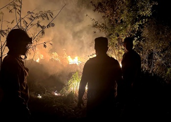 Controlan incendio forestal en El Soberbio