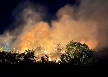 Incendio de malezas en Posadas: rápida intervención evitó que el fuego alcanzara viviendas