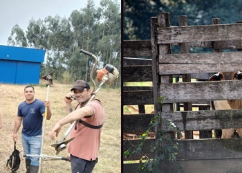 Impulsan la habilitación de un nuevo matadero para evitar la faena clandestina