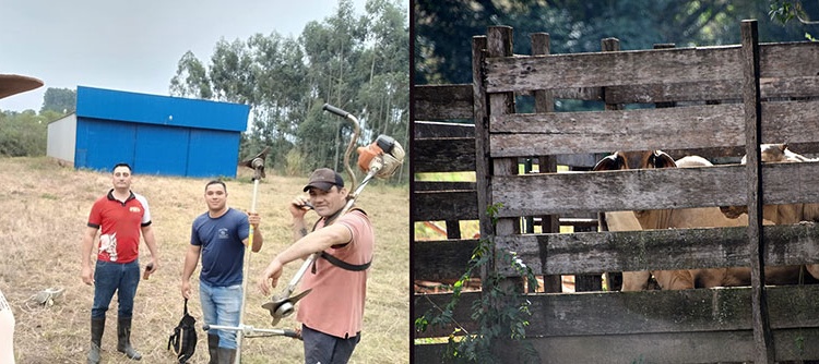 ESPERANZADOS. Los pequeños productores de El Soberbio y los alrededores no cuentan con un establecimiento para faenar el ganado y se mostraron esperanzados con una pronta habilitación.