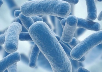 ¿Qué debemos saber sobre el microbioma y su impacto en la salud integral?